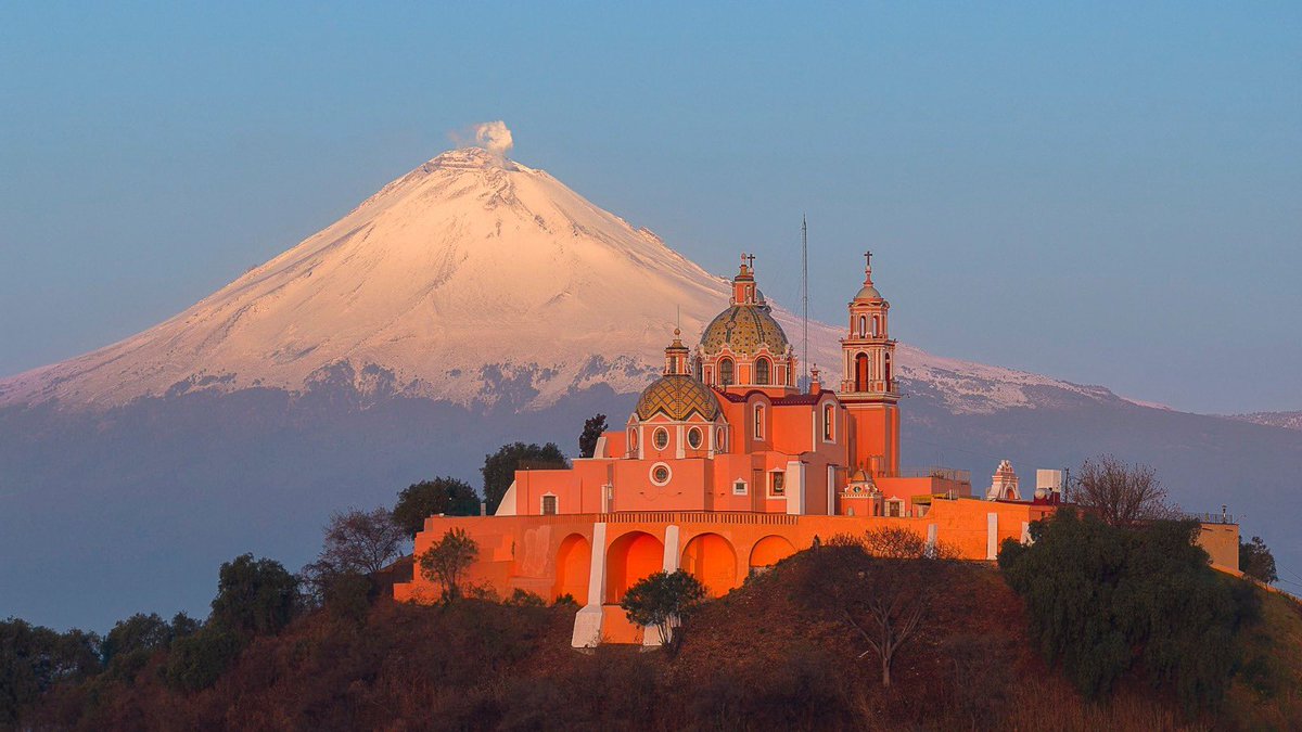 Tonantzin Fernández tweet media