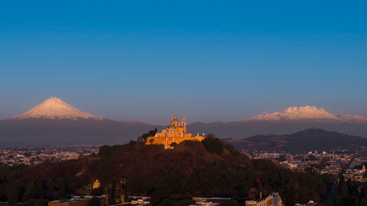 Tonantzin Fernández tweet media