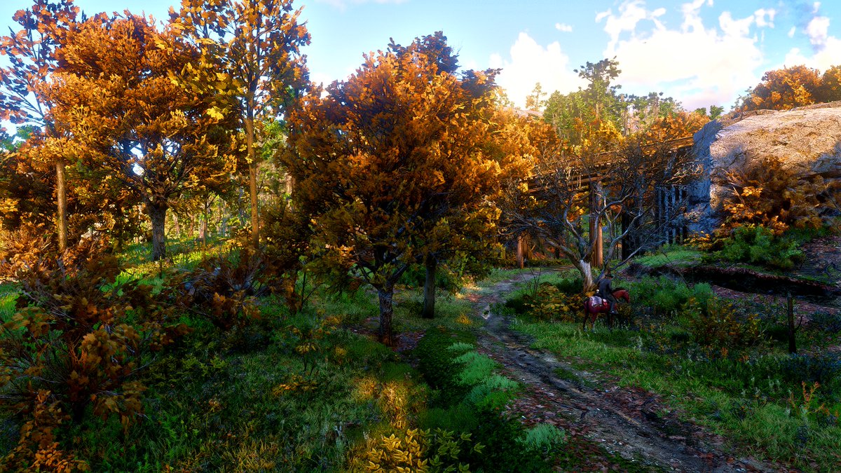 AzViking69Gamer tweet media