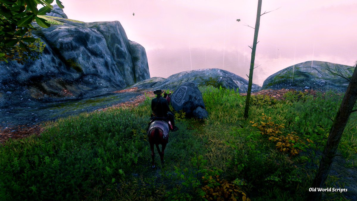 AzViking69Gamer tweet media