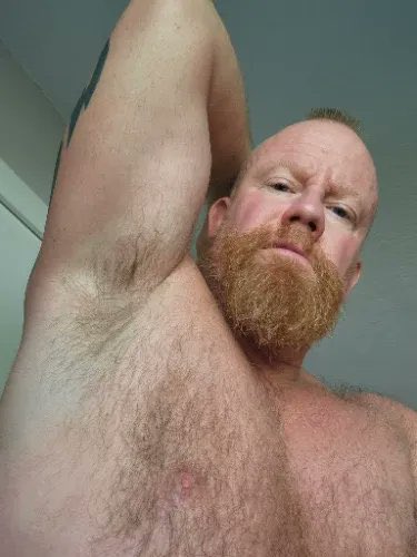 Strict FinDom tweet media