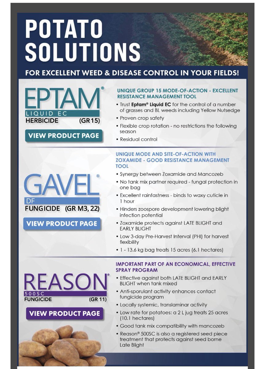 Ray Janssen tweet media