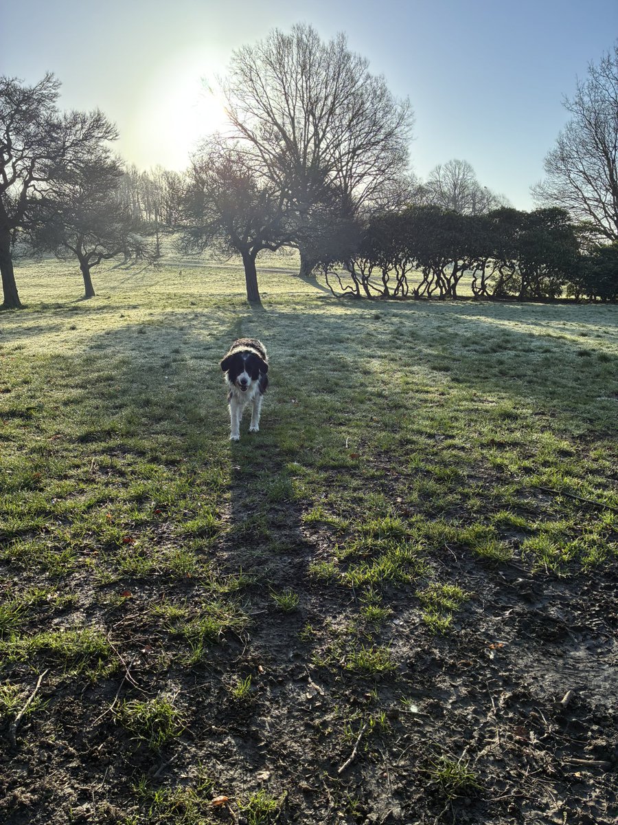 michael simpson tweet media