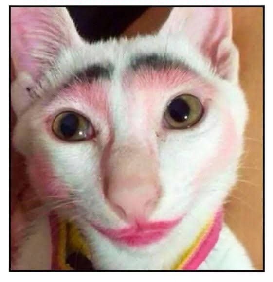 ᑕOՏᗰIᑕ ᗰᗴՏՏᗴᑎᘜᗴᖇ ≈ 𝕃𝕦𝕚𝕤 𝔸𝕝𝕗𝕣𝕖𝕕𝕠⁷⁷⁷ ∞∃⊍ tweet media