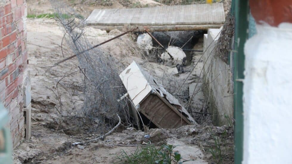 PSOE Jaén tweet media