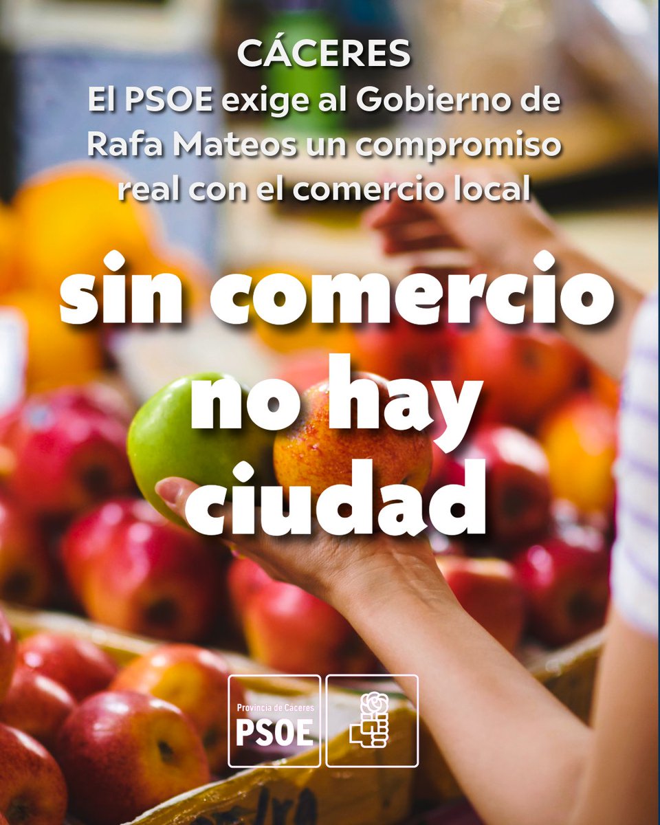PSOE provincia de Cáceres tweet media