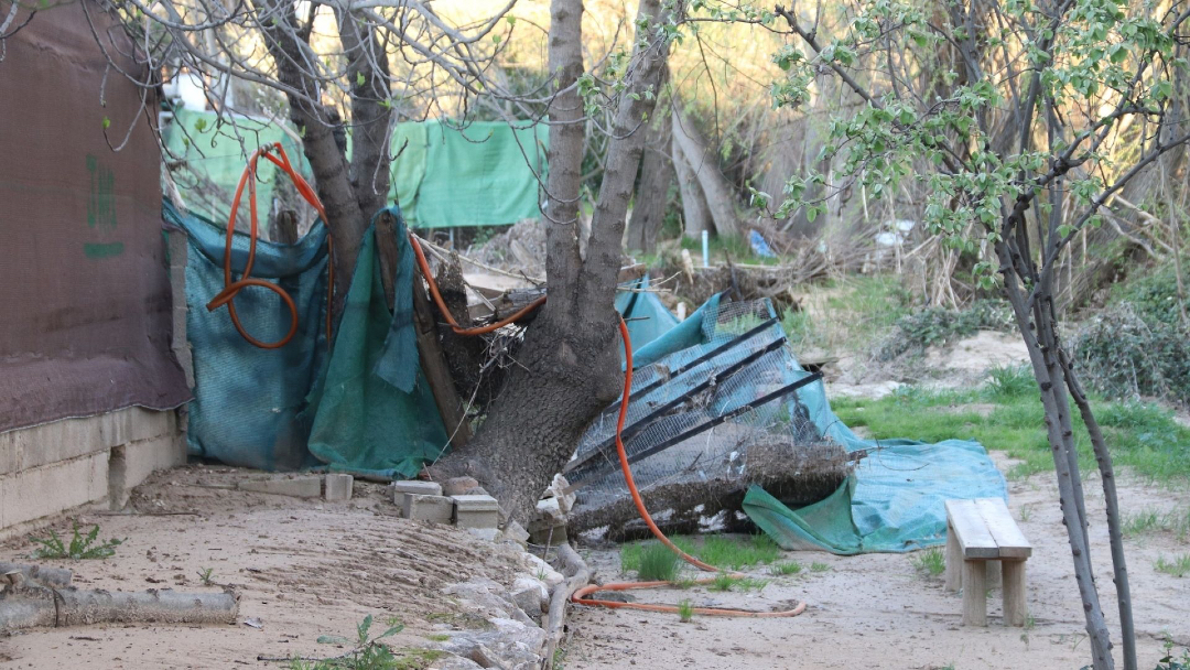 PSOE Jaén tweet media