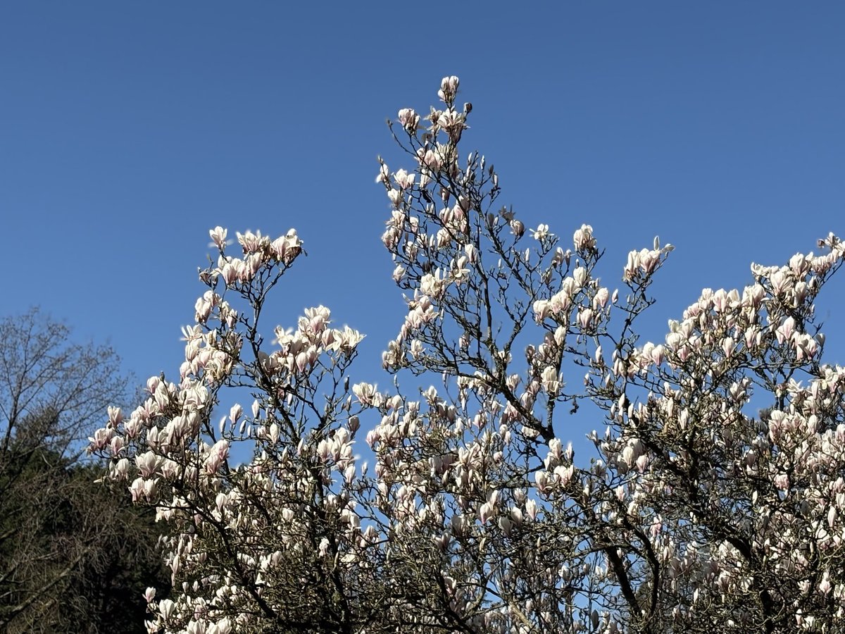 Finn 🌈 tweet media