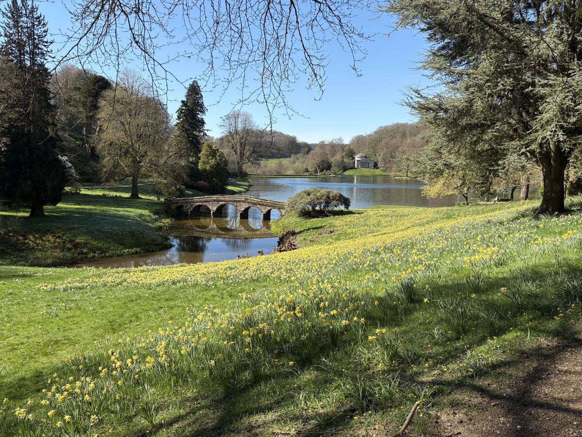 Finn 🌈 tweet media