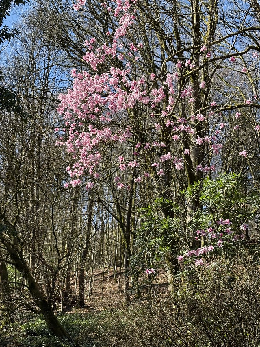 Finn 🌈 tweet media