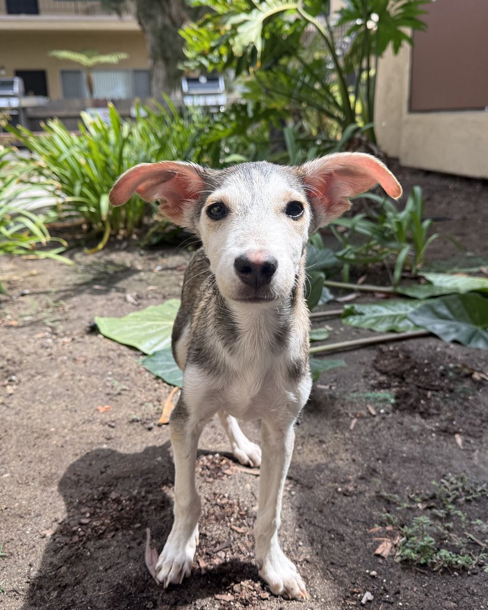 15/10 Foundation tweet media