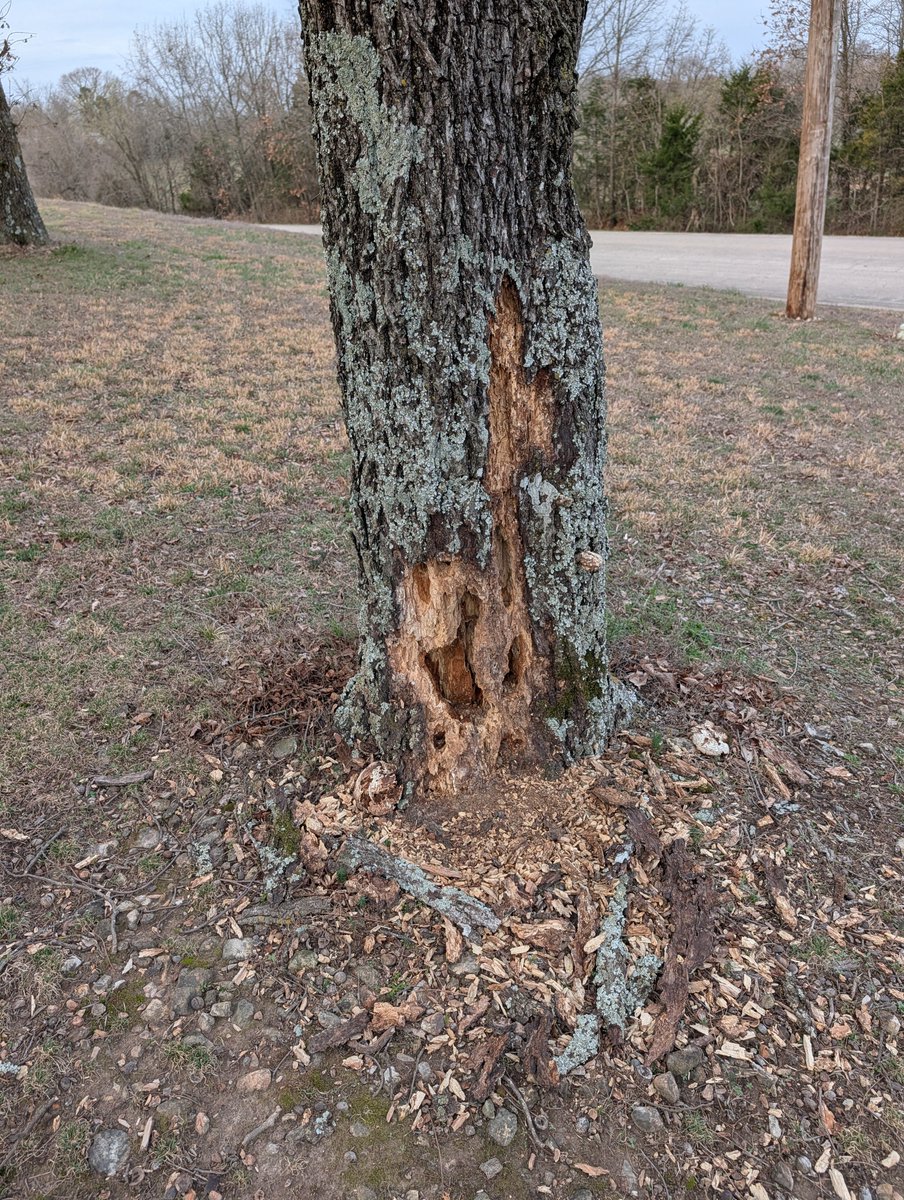 Hebrews12v2 (KC) tweet media