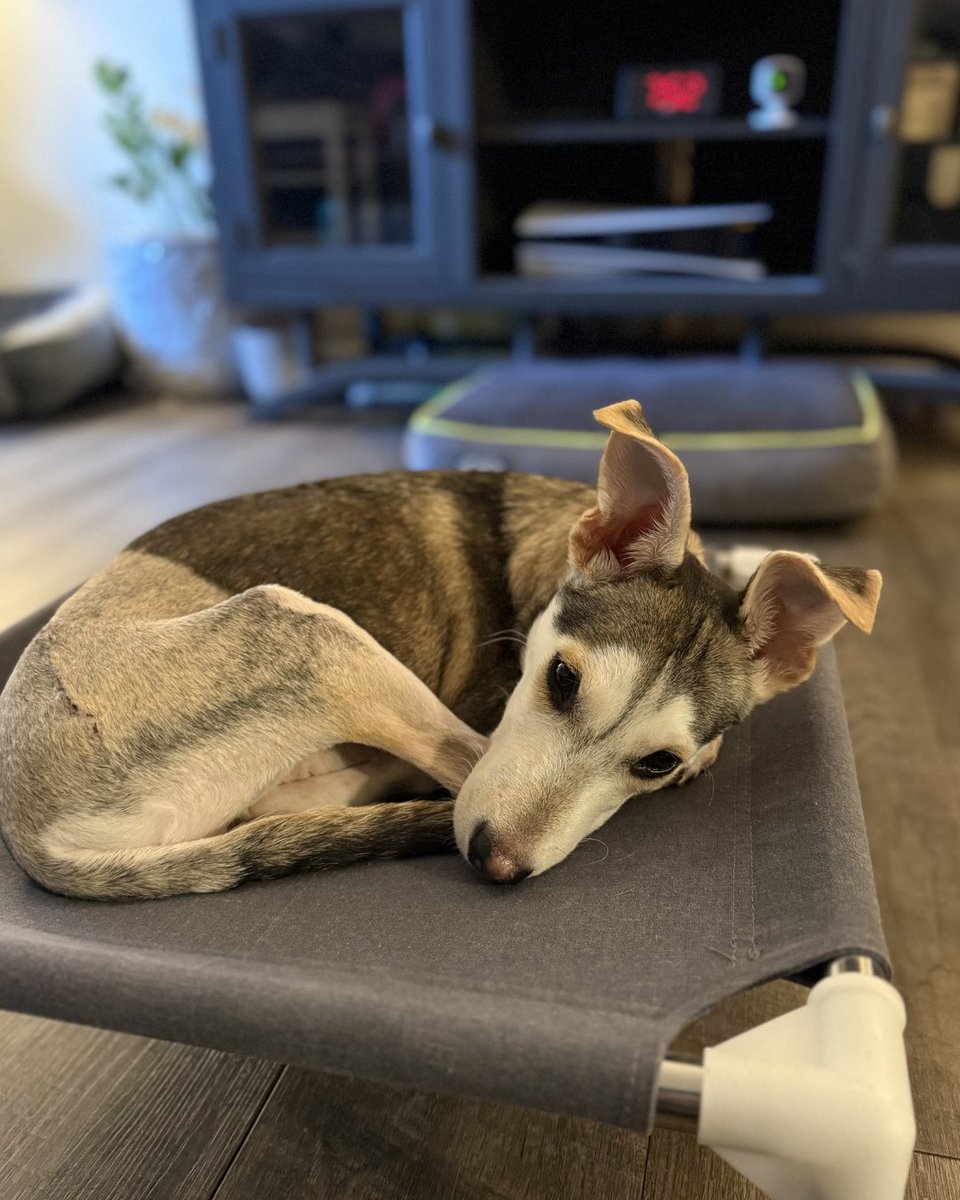 15/10 Foundation tweet media