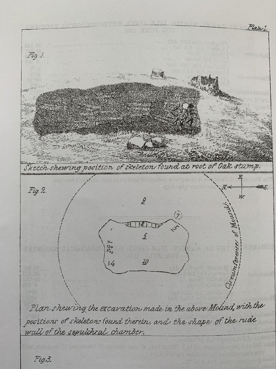 Andrew King tweet media