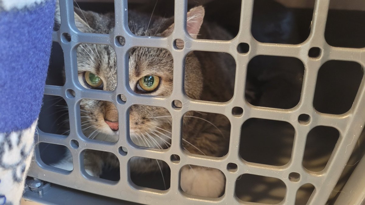 Frau_Em aka Günni tweet media