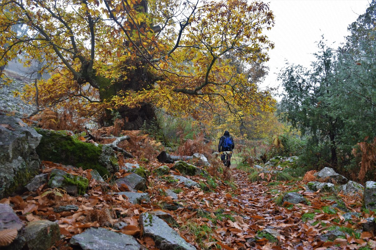 Fundación Biodiversidad tweet media