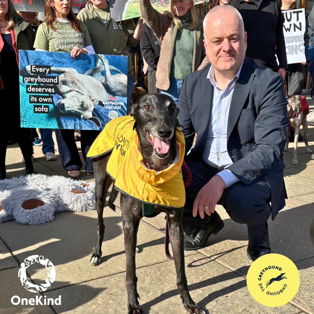 onekindtweet's tweet photo. 🙌 Snapshots of the tremendous turnout at the #UnboundTheGreyhound rally &amp; stunning show of support for @markruskell's  Bill to ban greyhound racing in 🏴󠁧󠁢󠁳󠁣󠁴󠁿🐾

Thank you to all humans &amp; hounds who joined us outside the Scottish Parliament earlier today ahead of the final vote. https://t.co/rk43wqbkVu