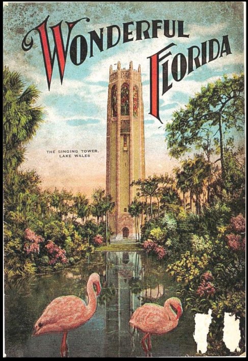 State Library of FL tweet media