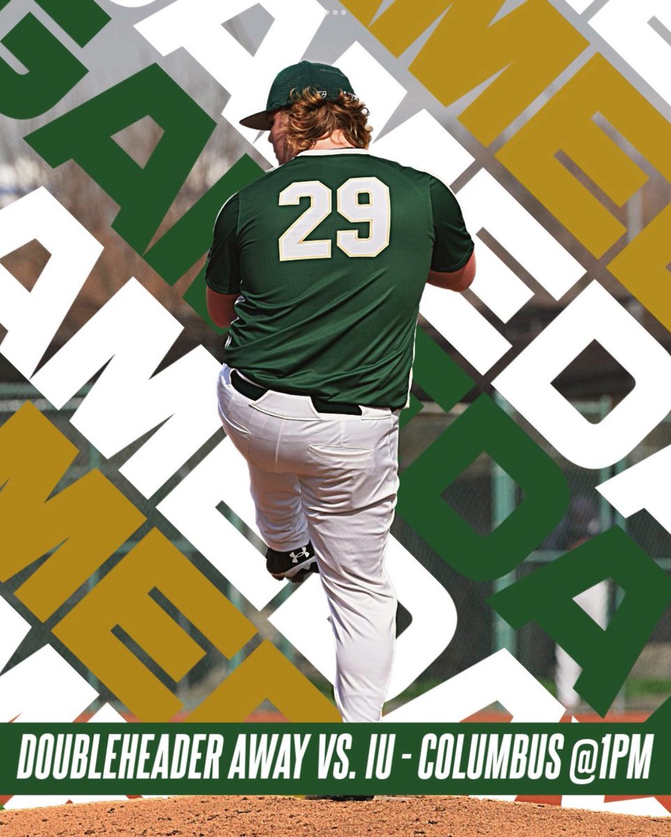 Wright State Lake Baseball tweet media