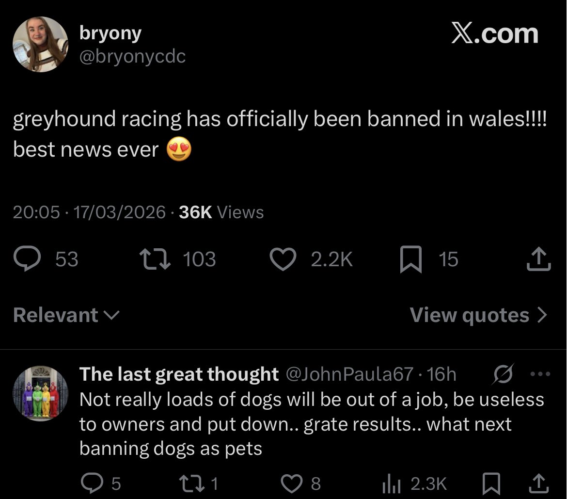 Ginger Tucci tweet media