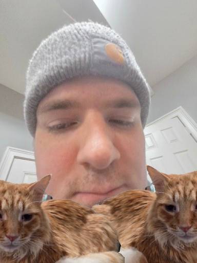 JankTrees! tweet media