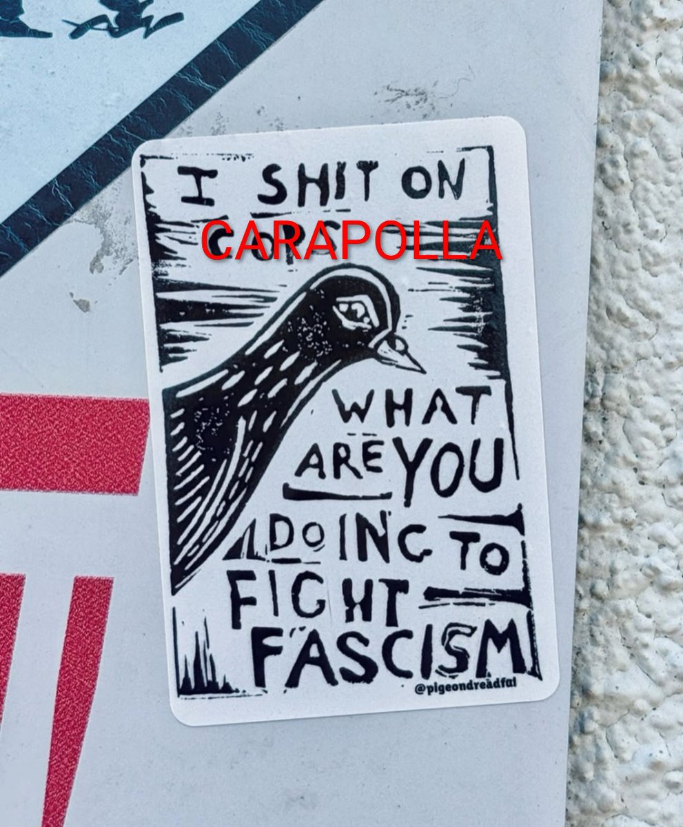 🇵🇸Celador_Enfurecido🇵🇸 (@celadorenlucha) on Twitter photo 