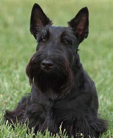 Jack Primley tweet media