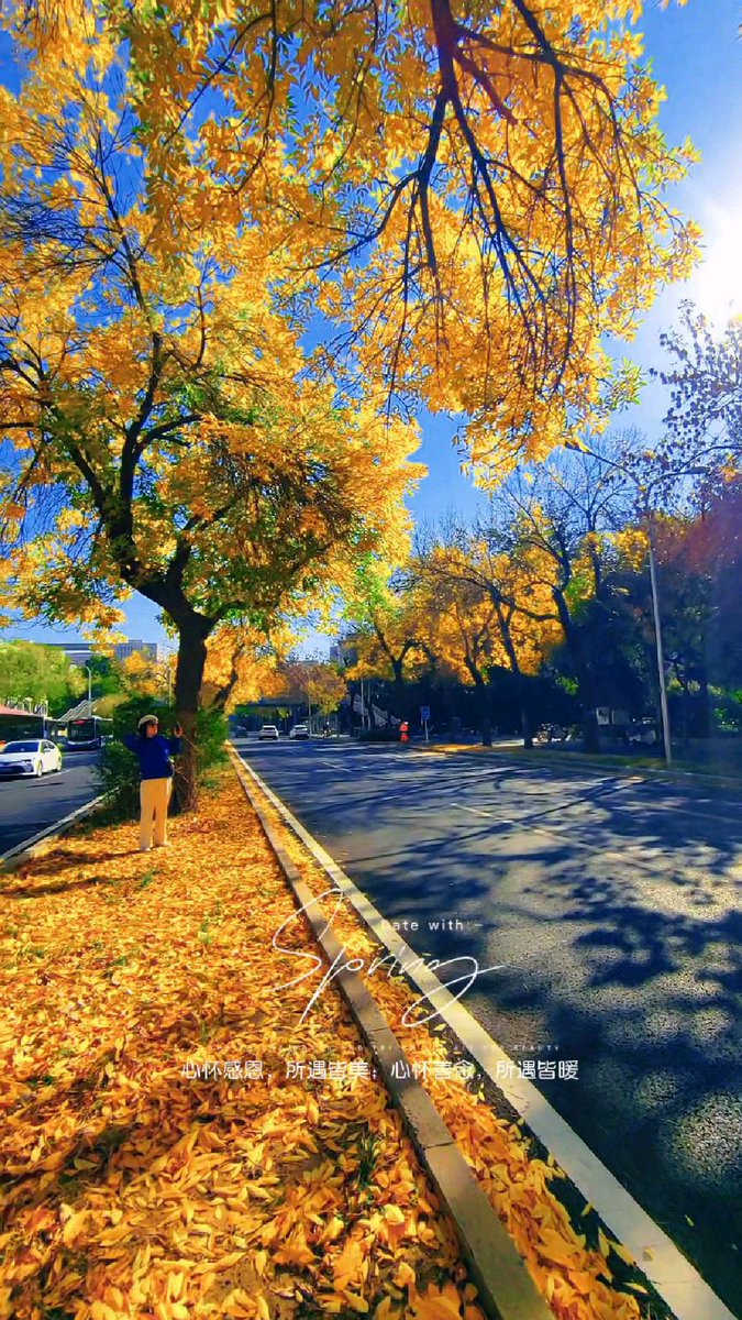 kym lawrence tweet media