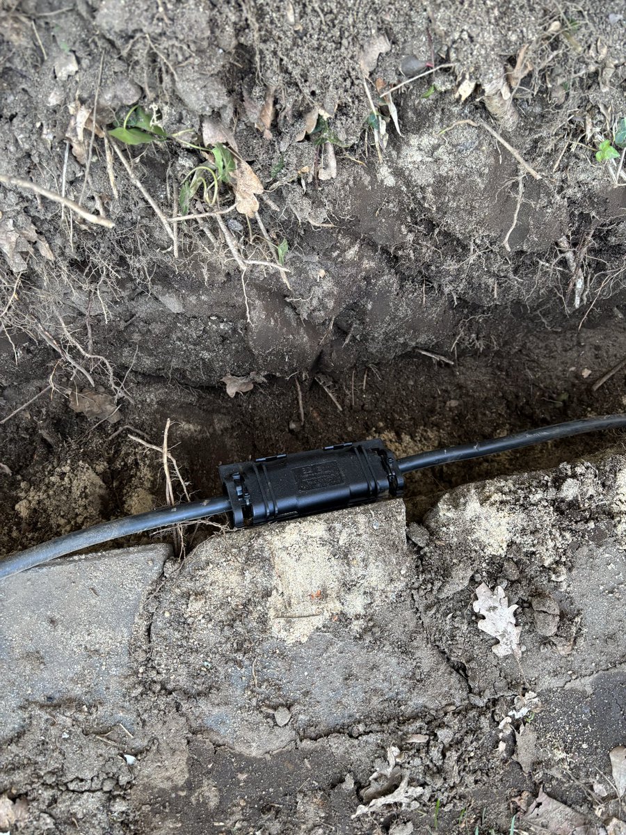 ₿eeHoney21 tweet media