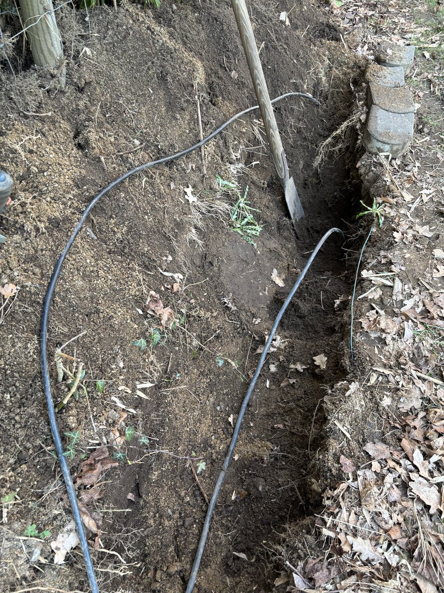 ₿eeHoney21 tweet media