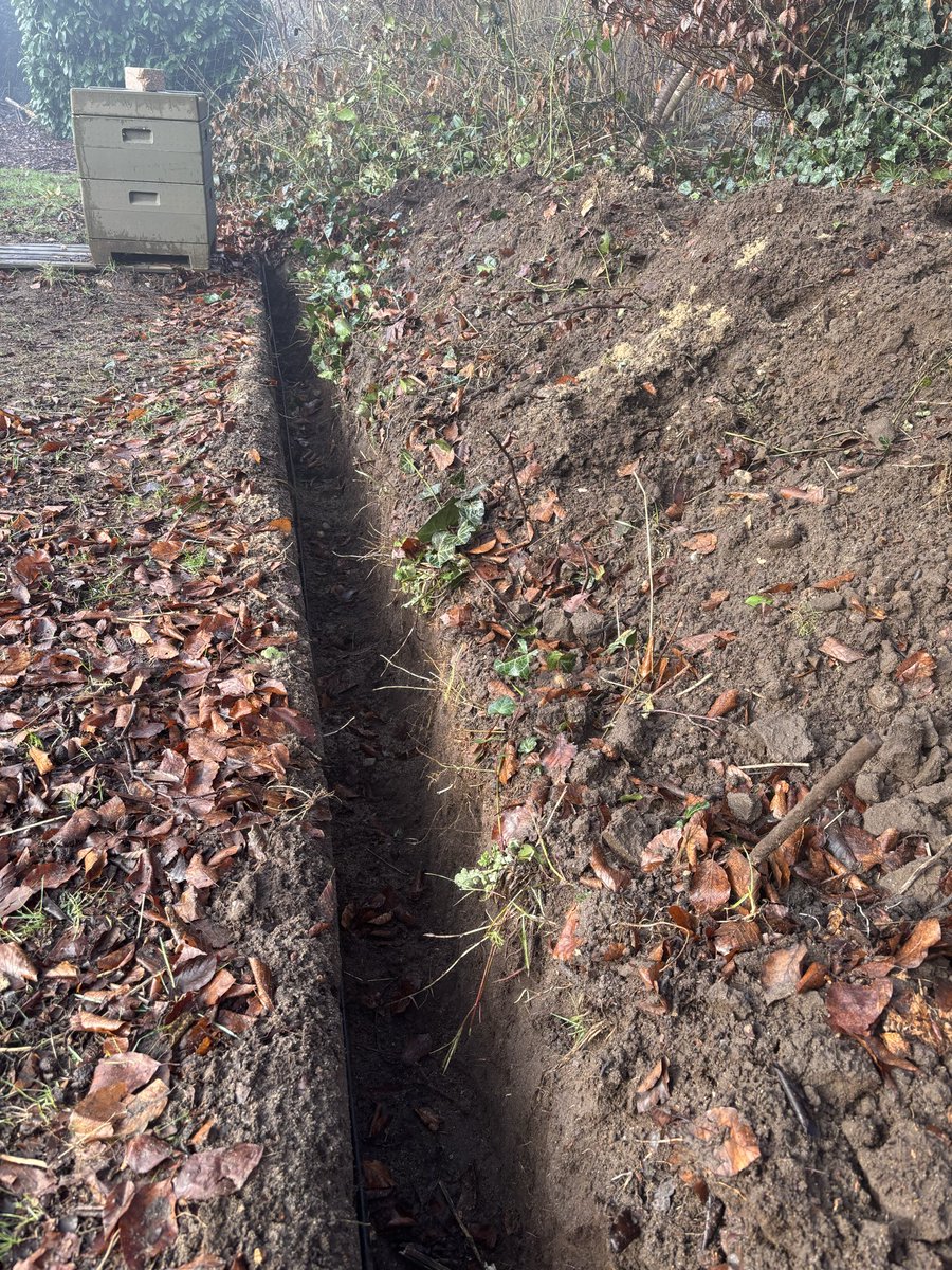 ₿eeHoney21 tweet media