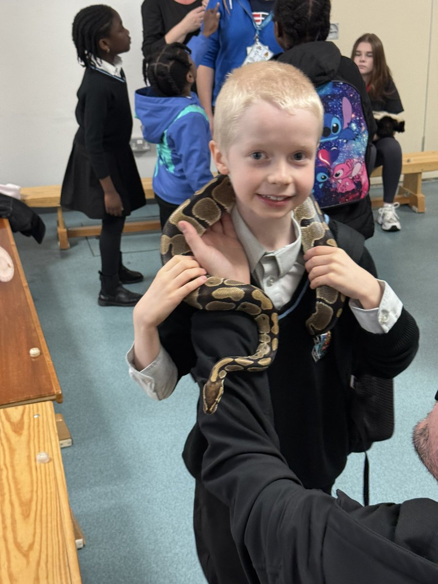 ArnotStMary's tweet photo. Animal encounters at the Science Fair! #ScienceWeek 🐍🐀🦨🕷️ https://t.co/e37qUfSPbC