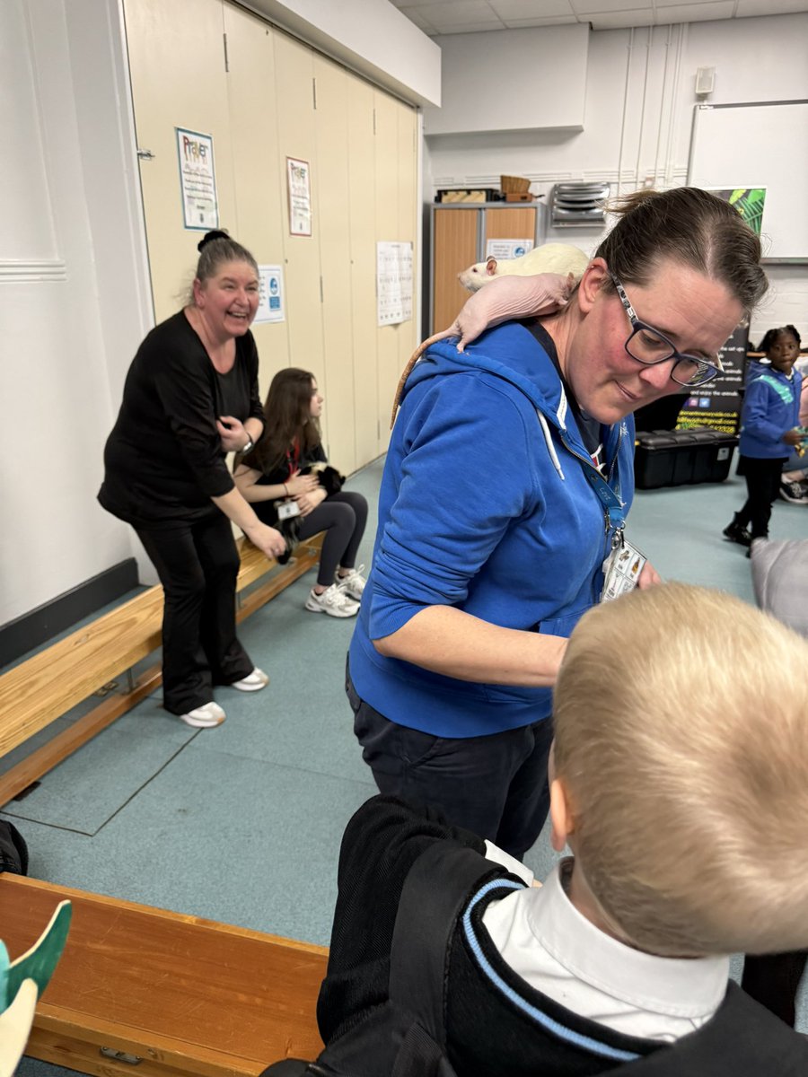 ArnotStMary's tweet photo. Animal encounters at the Science Fair! #ScienceWeek 🐍🐀🦨🕷️ https://t.co/e37qUfSPbC