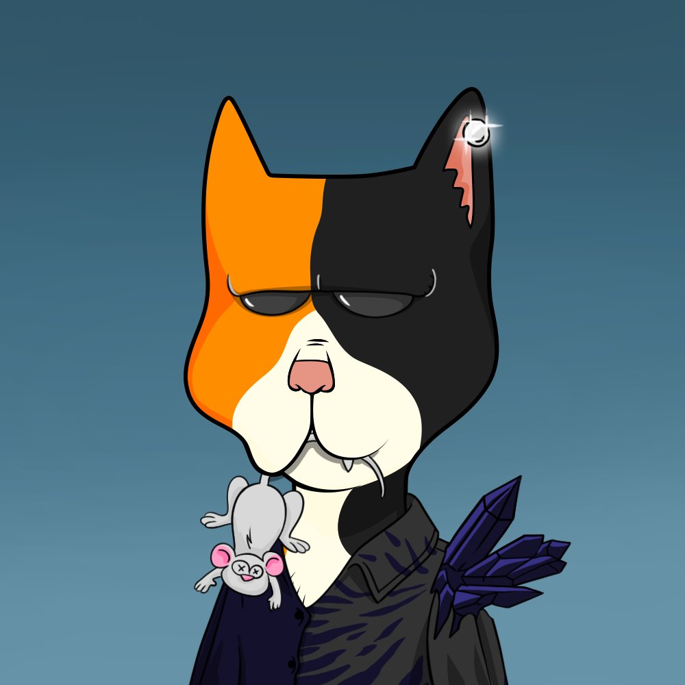 Boss Cat Rocket Club Sales tweet media