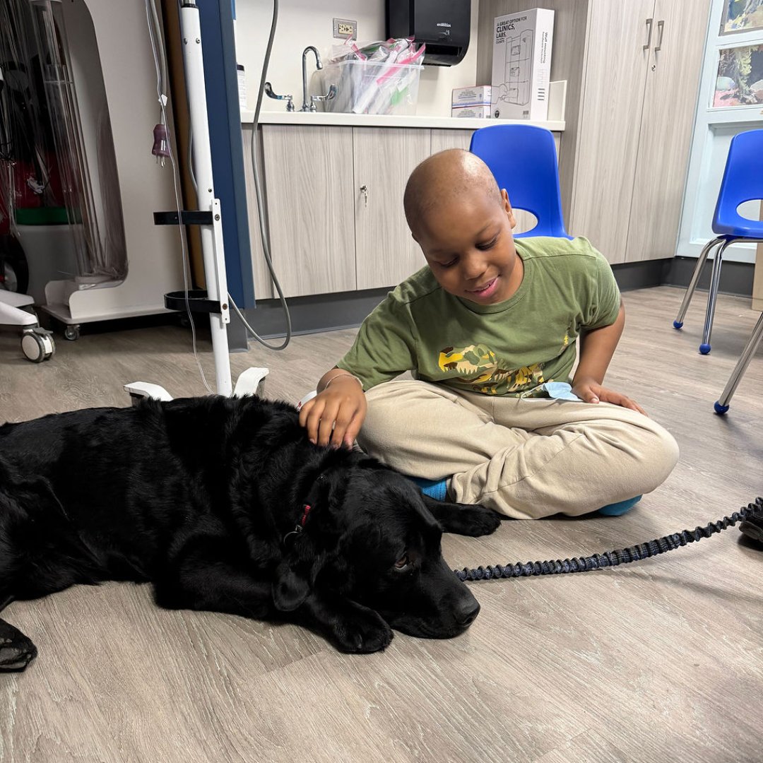 Maimonides Health tweet media