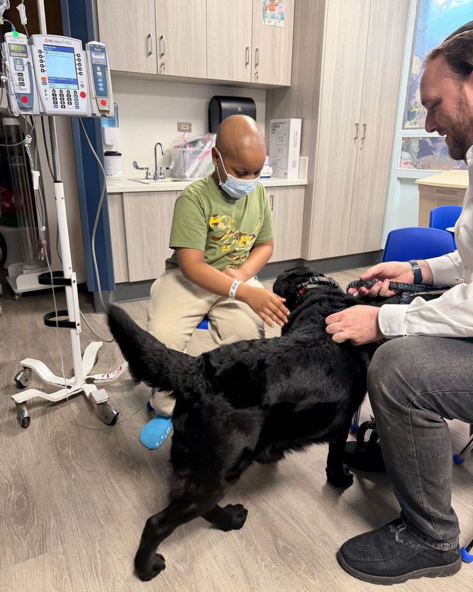 Maimonides Health tweet media