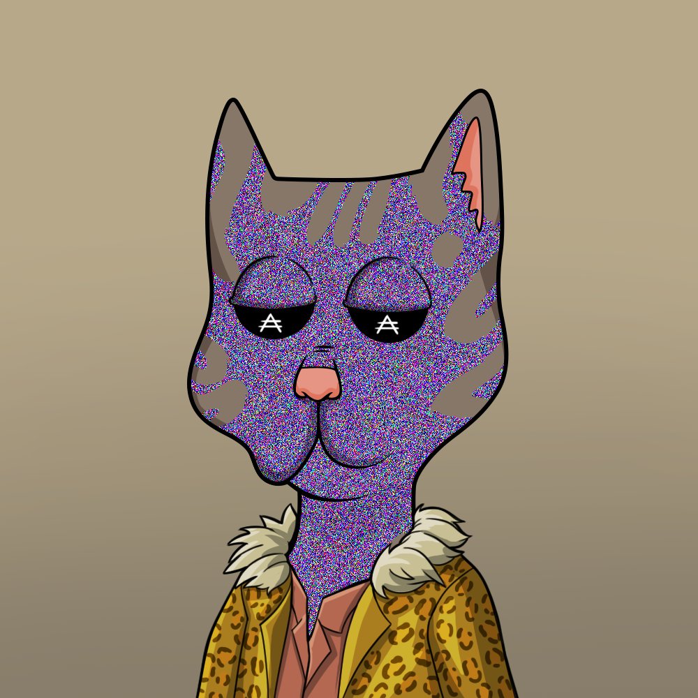 Boss Cat Rocket Club Sales tweet media