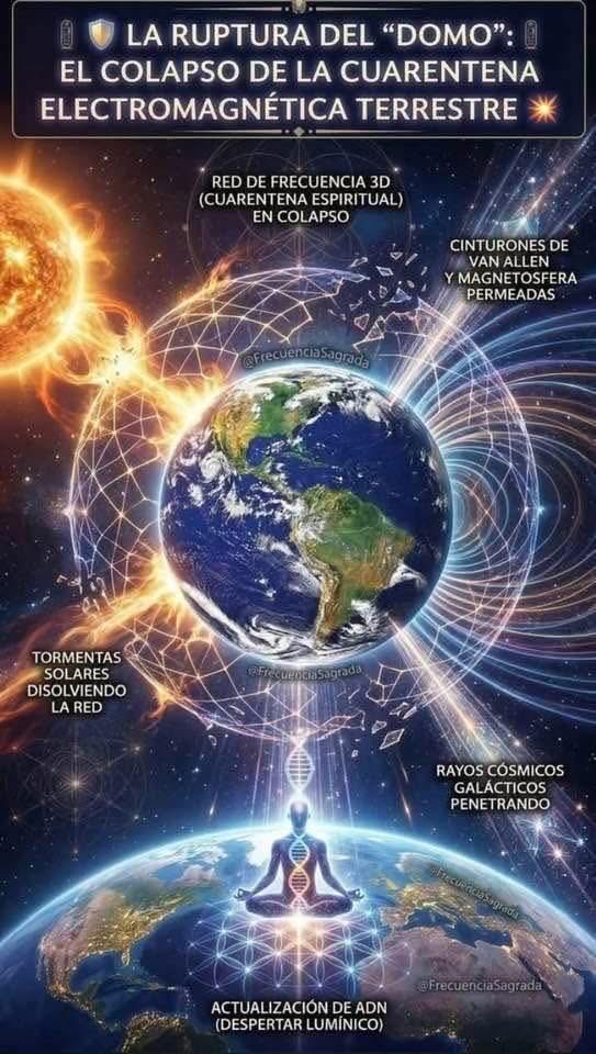 Paul White Gold Eagle tweet media