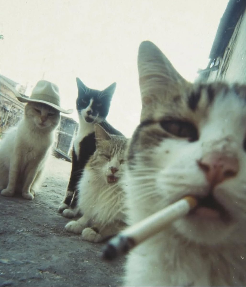 Weltweiter Sachsenpokalrekordsieger tweet media