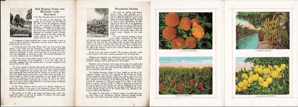 State Library of FL tweet media