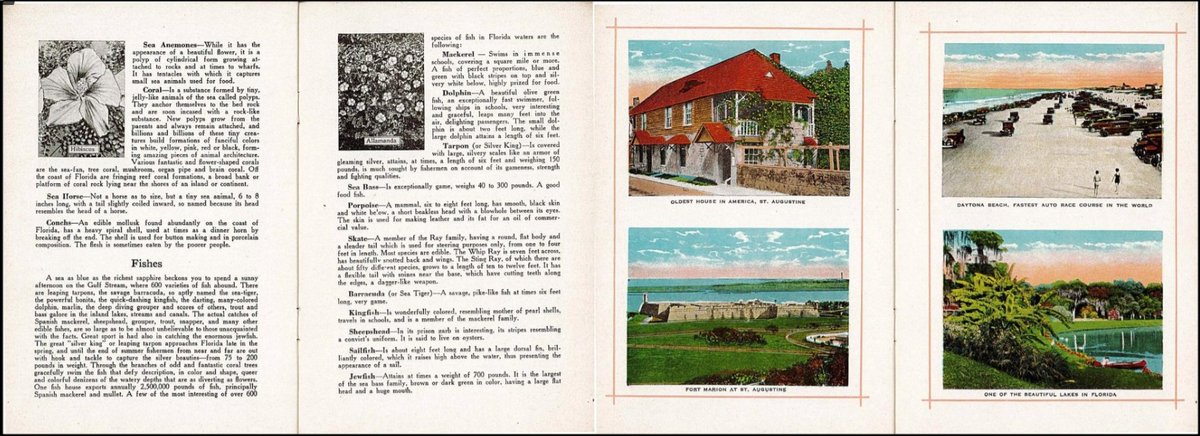 State Library of FL tweet media