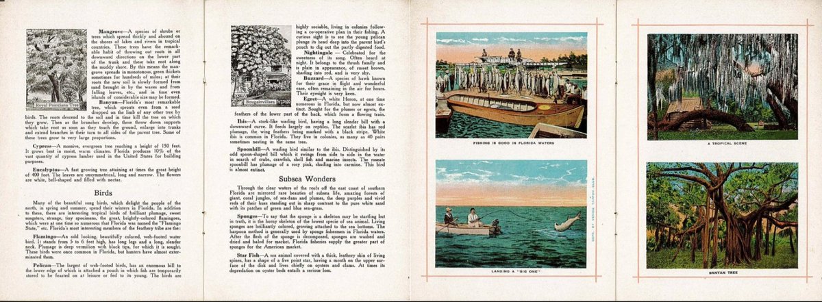 State Library of FL tweet media