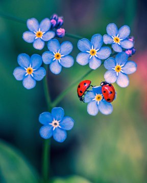 Younger J Malmsteen ;) tweet media