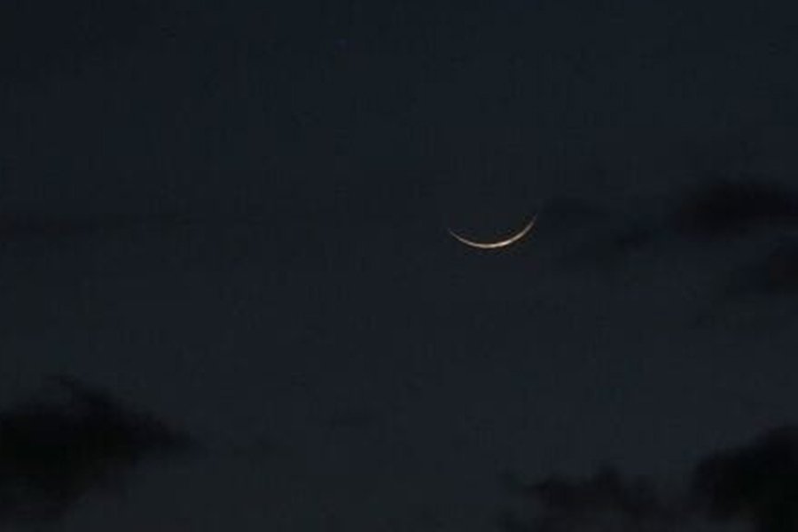 Globe Observer tweet media