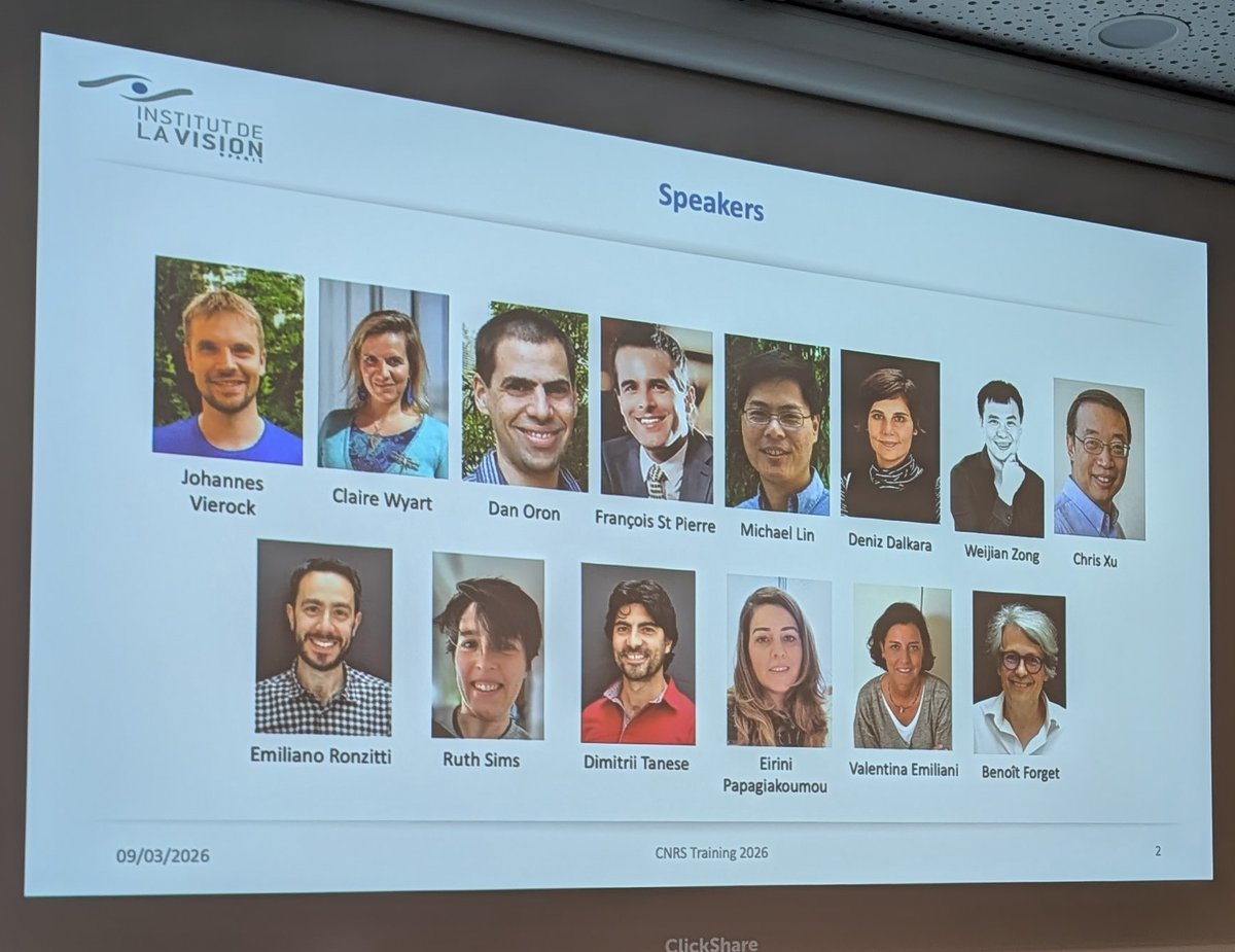 Doris Tsao tweet media