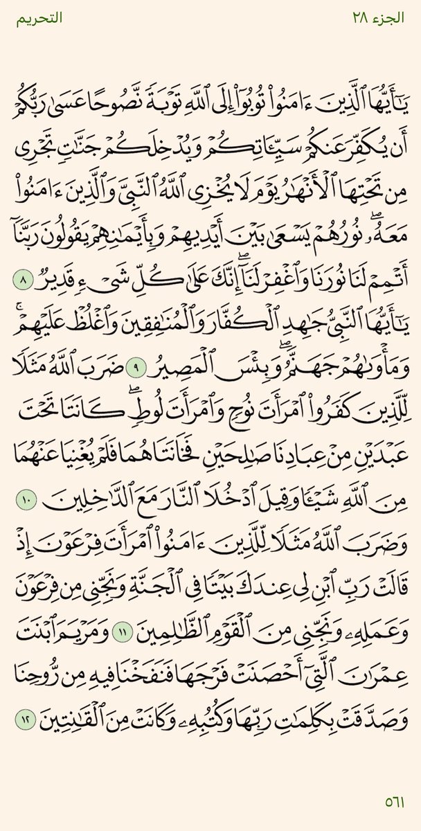 RespectAl5yr's tweet photo. ورد يومي لختم القران في رمضان💟

 ٢٩ رمضان — ورد الفجر https://t.co/XyfPsjD5gX