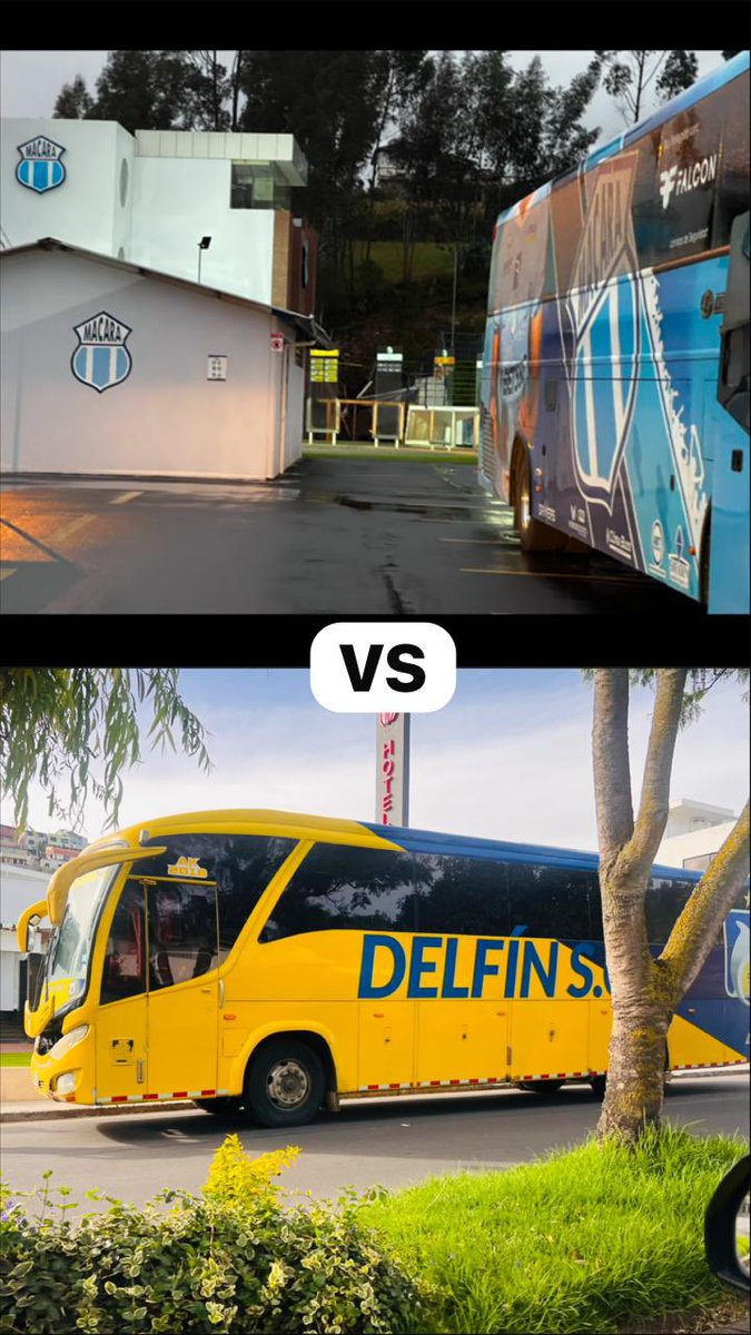 Edison nando lem tweet media