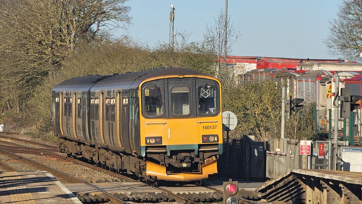 Saaluvesh tweet media