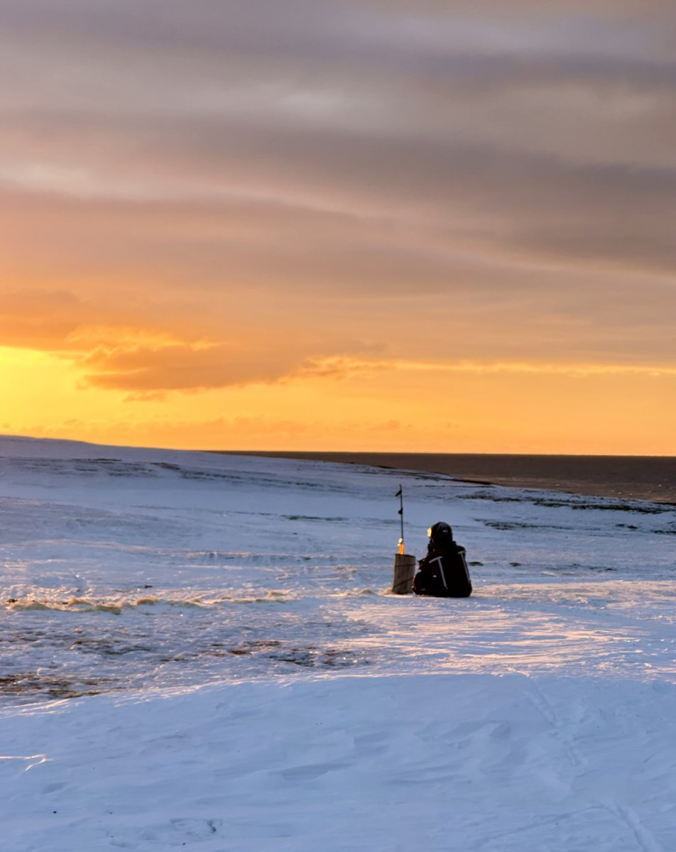 Pirate of the Arctic Ocean tweet media