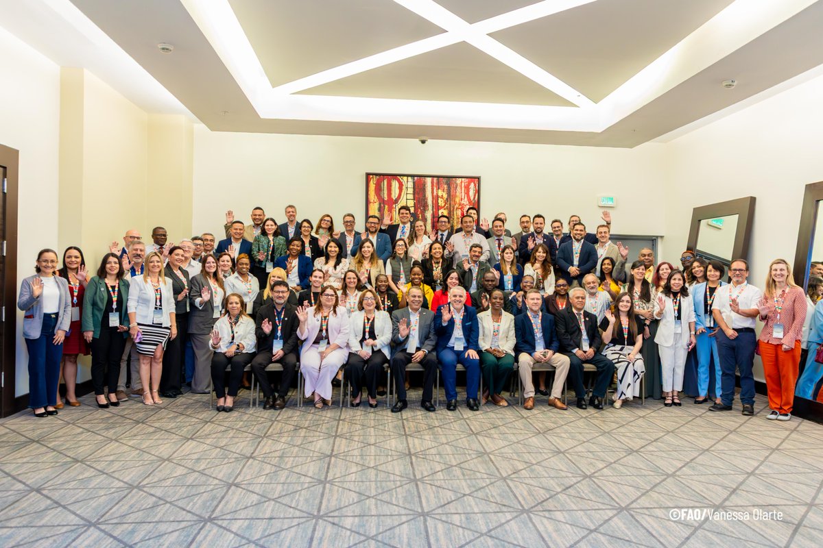 FAOMesoamerica's tweet photo. @FAOAmericasADG @sernaHN @MiAmbientePma @CCADSICA @FAO @ASanchesFAO @theGEF @FAOHonduras @FAOAmericas @FAOenEspanol @MedioAmbienteSV @CancilleriaHN @ONUHonduras @UlisesGzalez @PanamaAmerica @NexPanama @TReporta 🎯El objetivo de este encuentro es dialogar las potenciales alianzas entre medio ambiente, agricultura, ganadería, silvicultura, pesca y acuicultura, así como diseminar conocimiento técnico especializado de la @FAO; e identificar oportunidades de inversión en países de la región. https://t.co/YN04jBGt1J